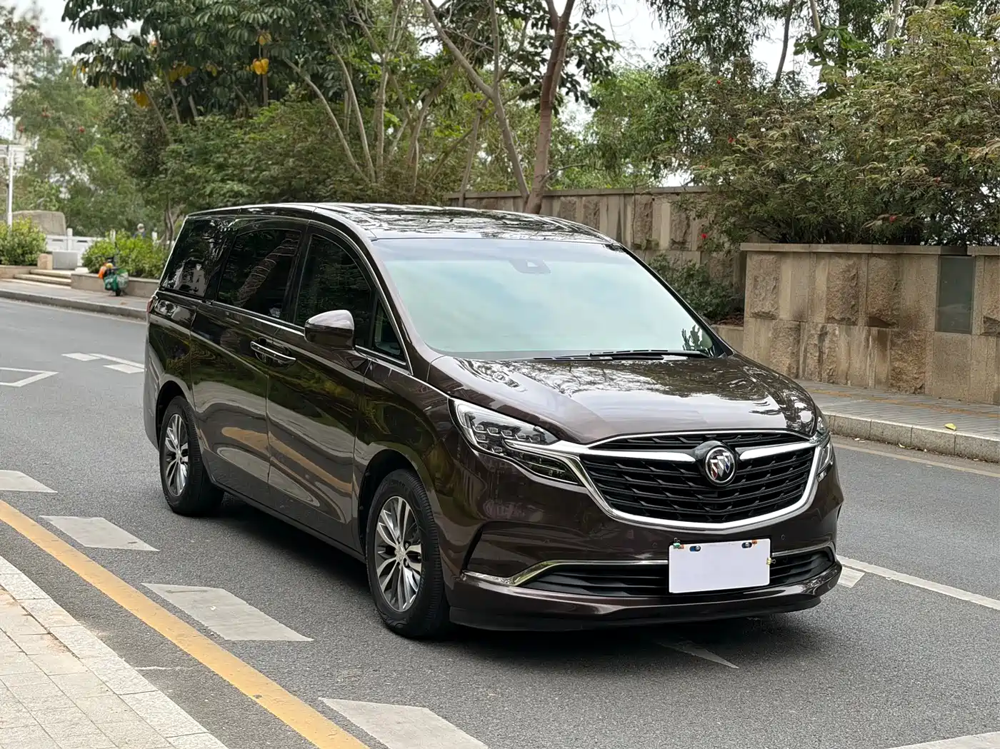 Buick GL8 2021 ES Landlord 653T Premium фото 4
