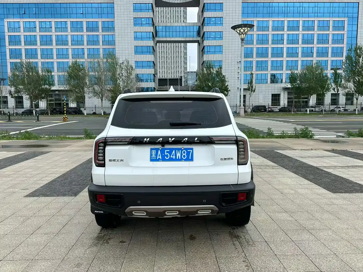 Haval Dargo 2021 2021 1.5T DCT 2WD Border Collie - Wangcai Edition