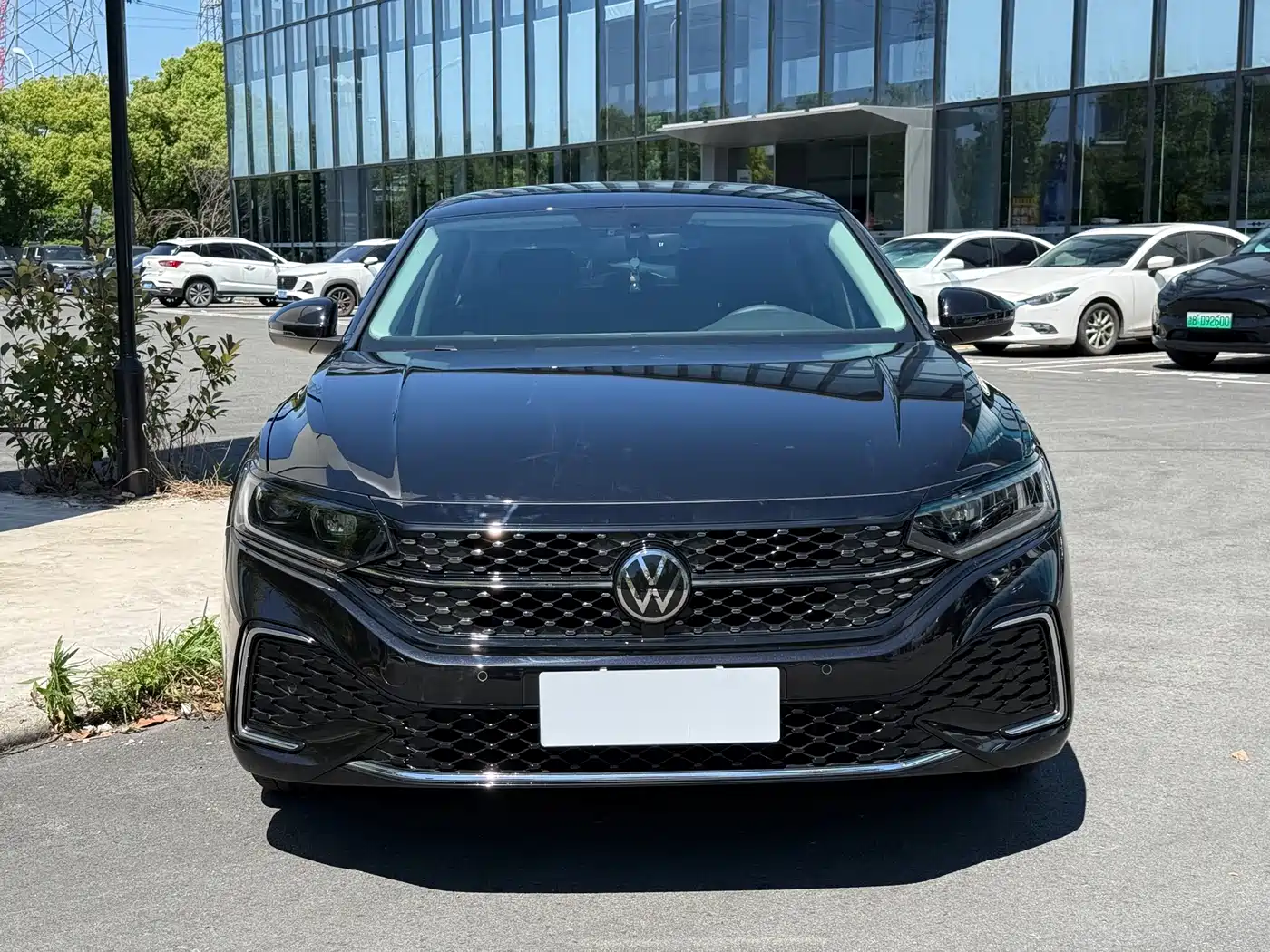 Volkswagen Passat 2024 380TSI Starlight Luxury Edition фото 6