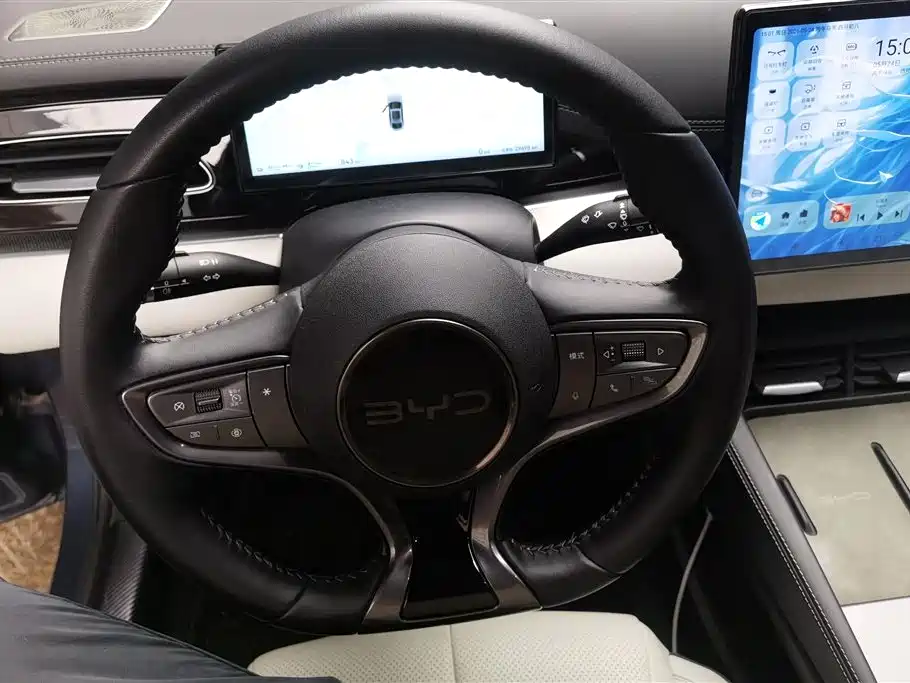 BYD Seal 06 New Energy 2024 DM-i 80KM Prestige фото 15