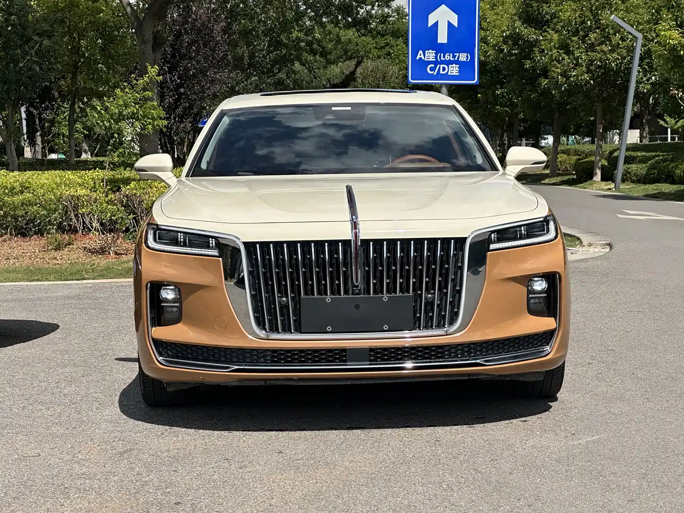 Hongqi H9 2020 2.0T Smart Connection Qi Chang Edition фото 2