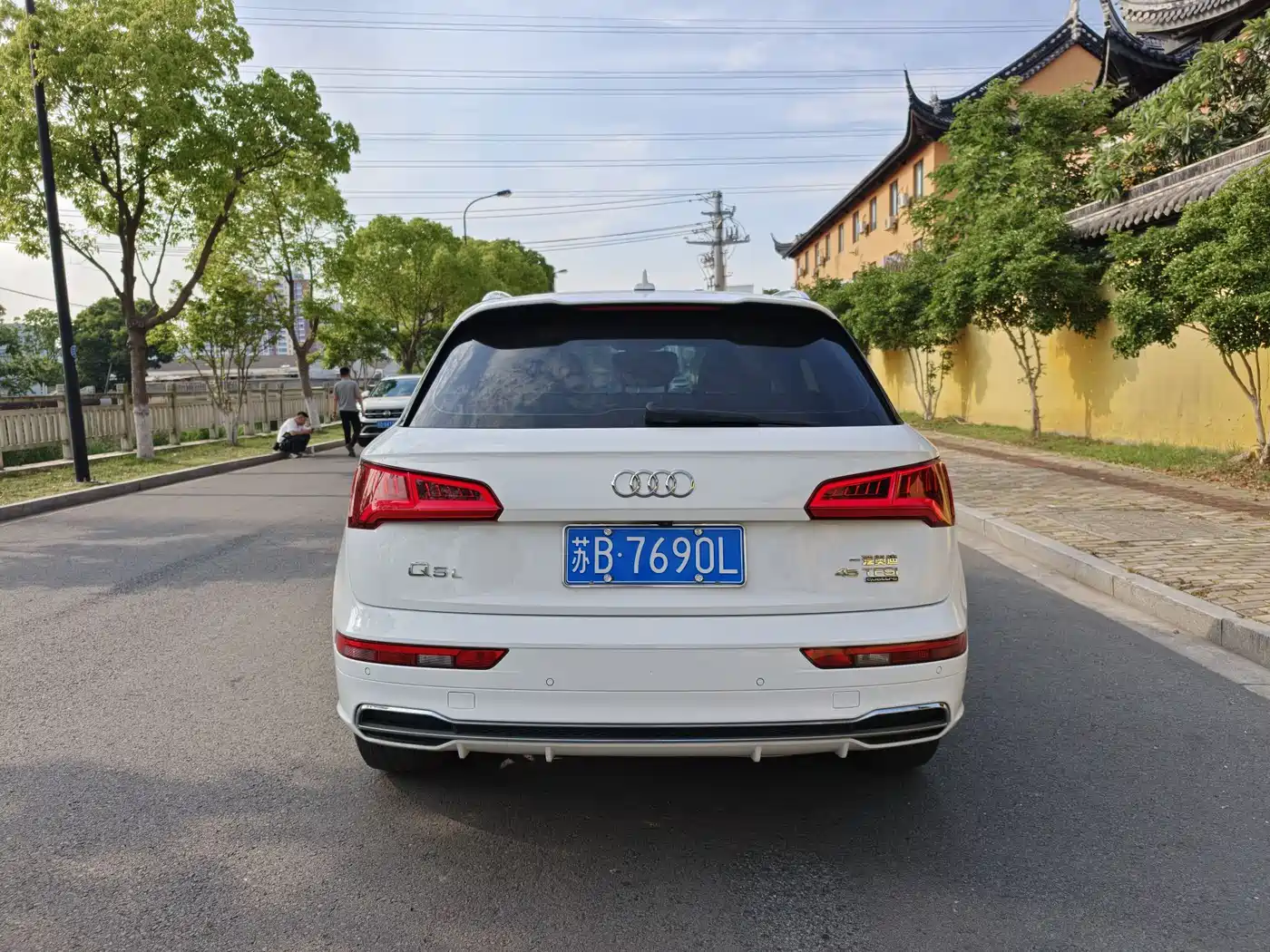 Audi Q5L 2018 45 TFSI Exclusive Fashion (China V) фото 6