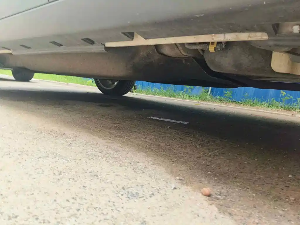 Ford EcoSport 2018 2018 1.5L Automatic Platinum Wing