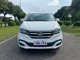 Фото 2 - Maxus G10