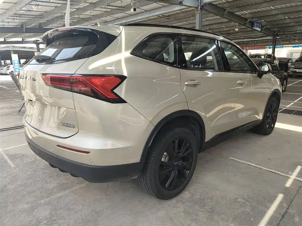 Haval H6 2024 1.5T 2WD Ultra фото 13