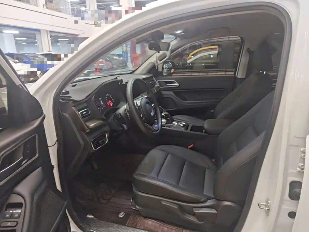 Great Wall Pao 2025 2024 Model 2.4T Commercial Version Automatic Diesel 4WD Elite Type