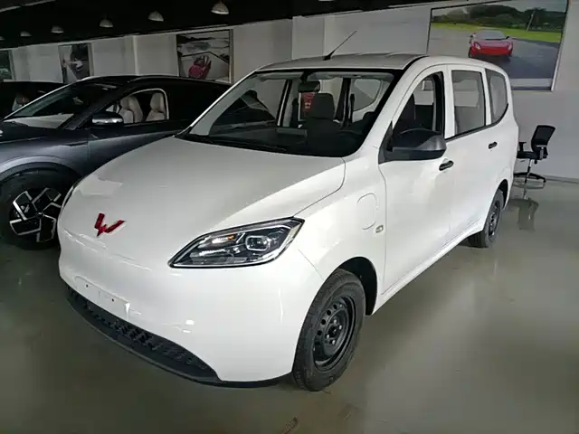 Wuling Motors Wuling Hongguang New Energy 2024