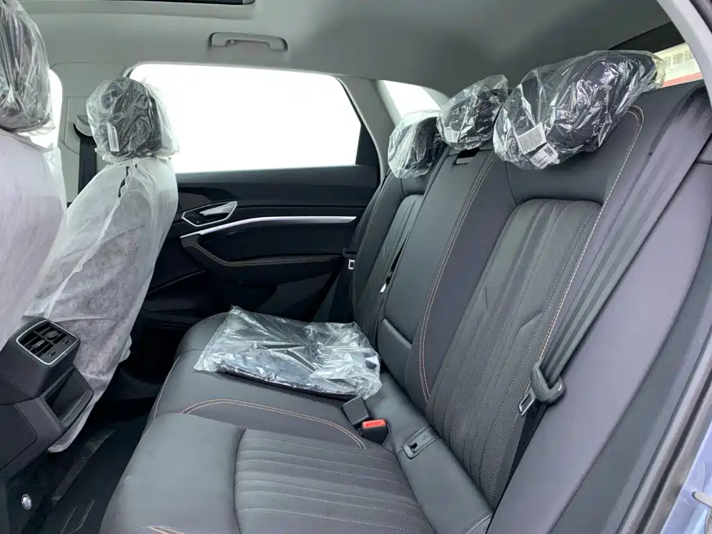 Audi e-tron 2026 2021 50 quattro Luxury