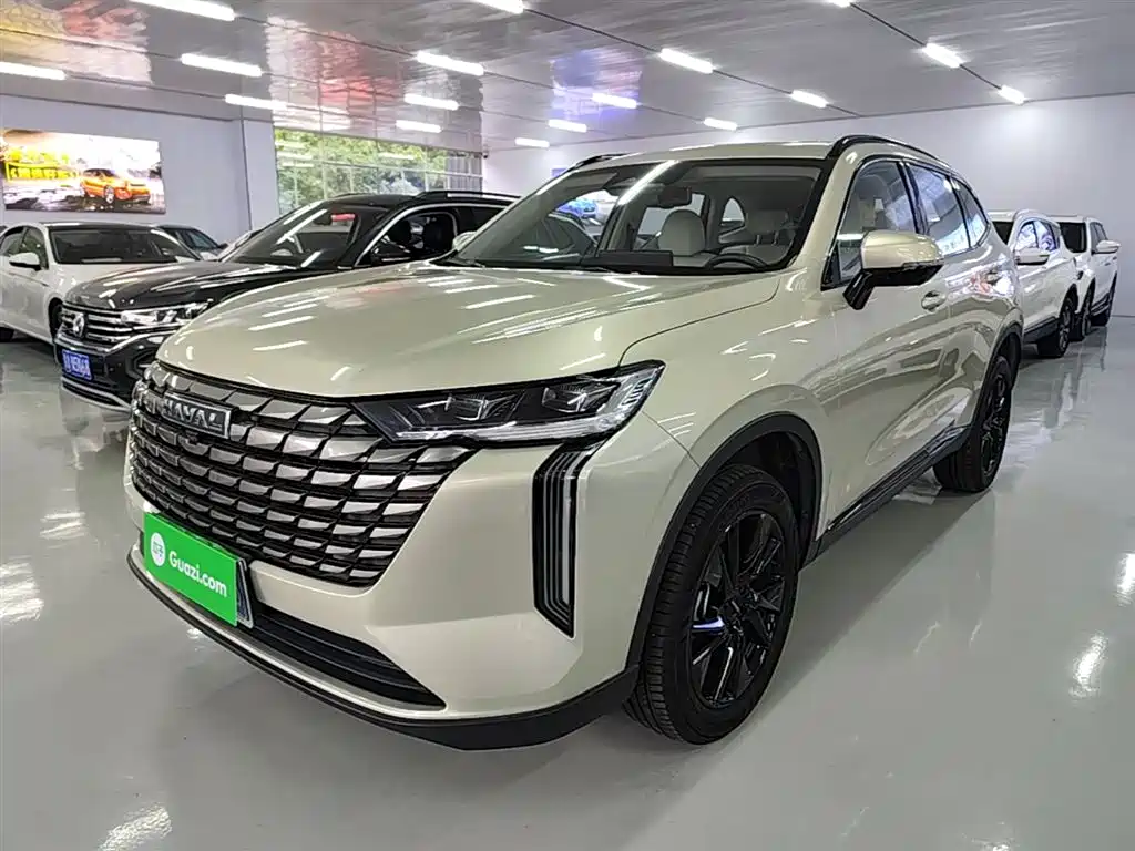 Haval H6 2024 1.5T 2WD Ultra фото 2