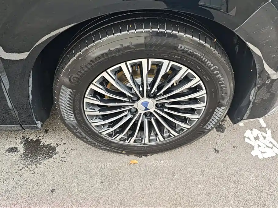 Denza D9 2025 DM-i Smart Drive Edition 1020 AWD Prestige фото 6