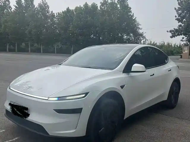  Tesla Model Y 2025 Long Range All-Wheel Drive