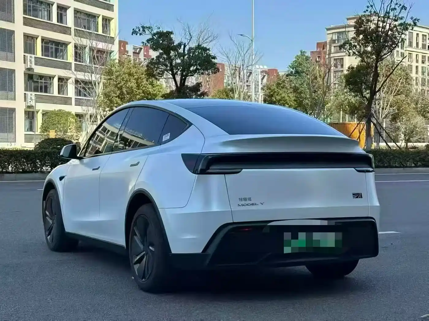 Tesla Model Y 2025 Rear-Wheel Drive фото 18