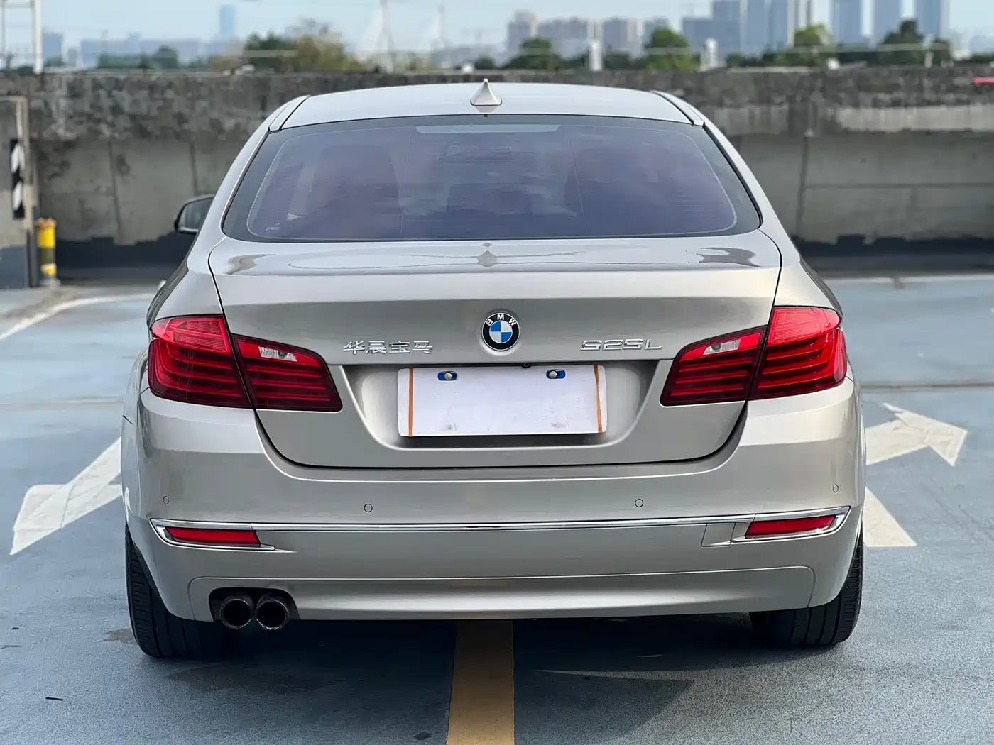 BMW 5 Series 2014 525Li Luxury Design Package фото 6