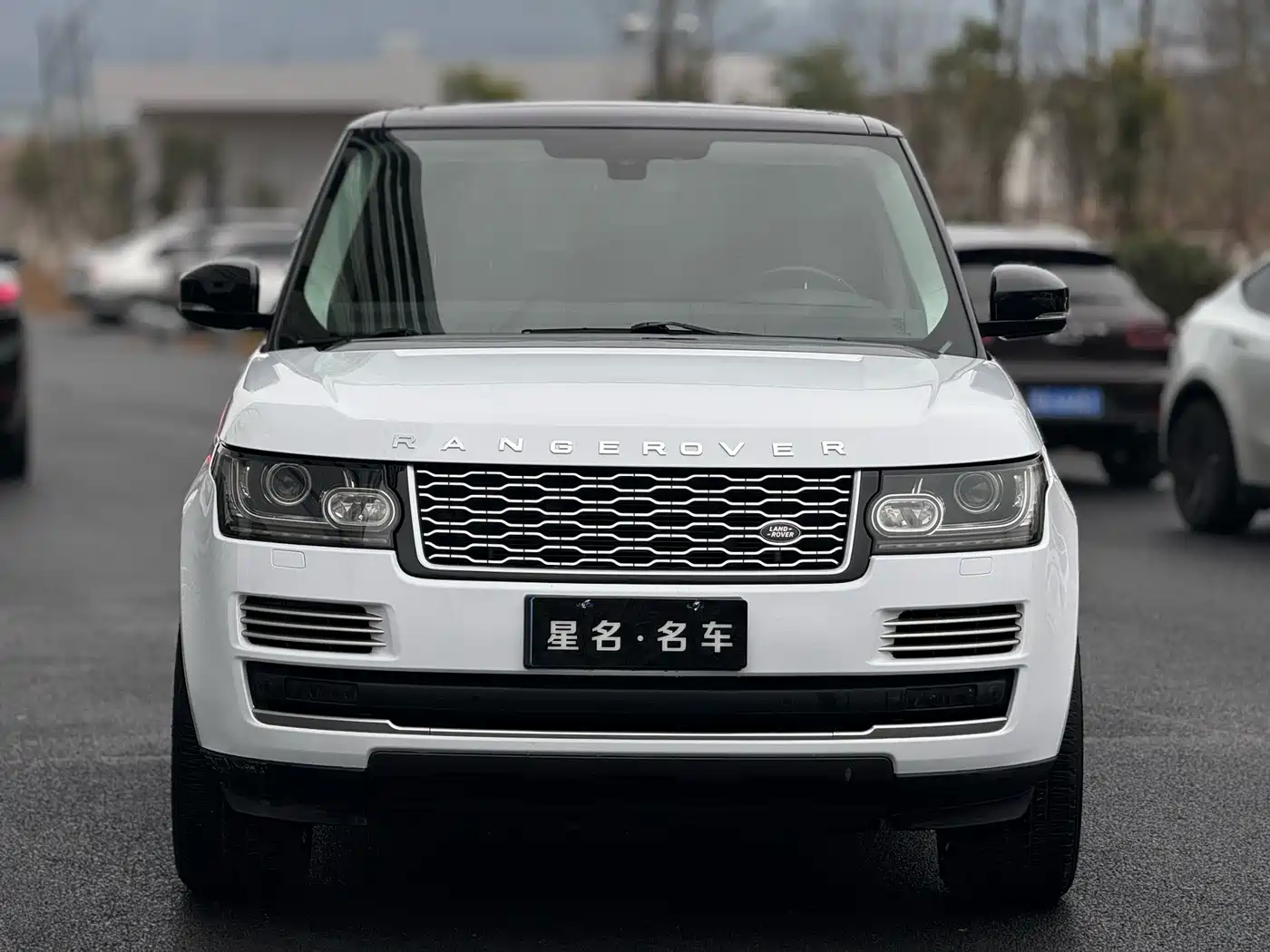Land Rover Range Rover 2014 3.0 SC V6 Vogue фото 2
