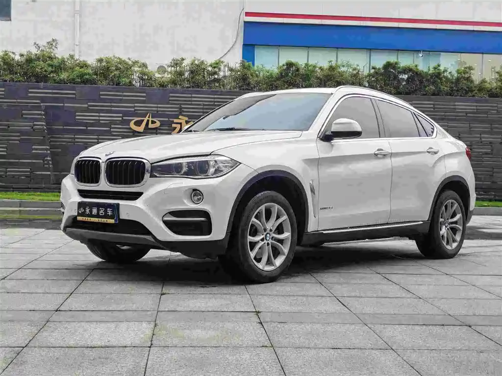 BMW X6 2015 xDrive35i Leading Type
