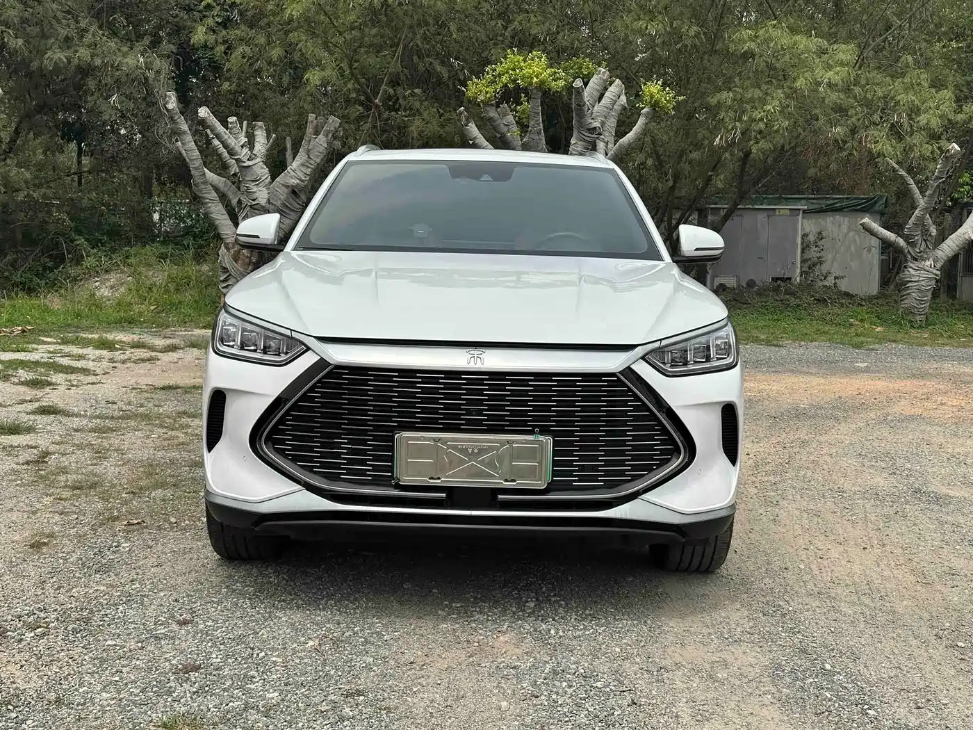 BYD Song PLUS PHEV 2021 DM-i 51KM Honor фото 2