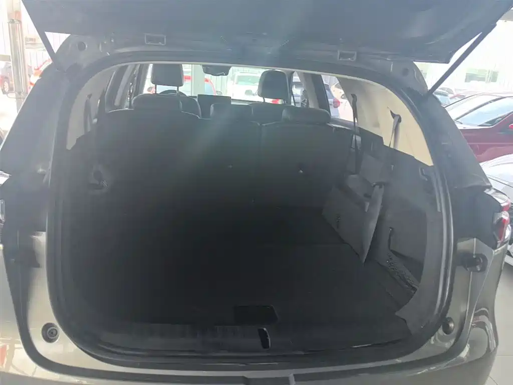 BYD Tang 2018 2.0T Automatic Smart Connection Delight Edition 7-Seater China V фото 19