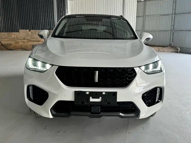 WEI PAI WEI BRAND VV5