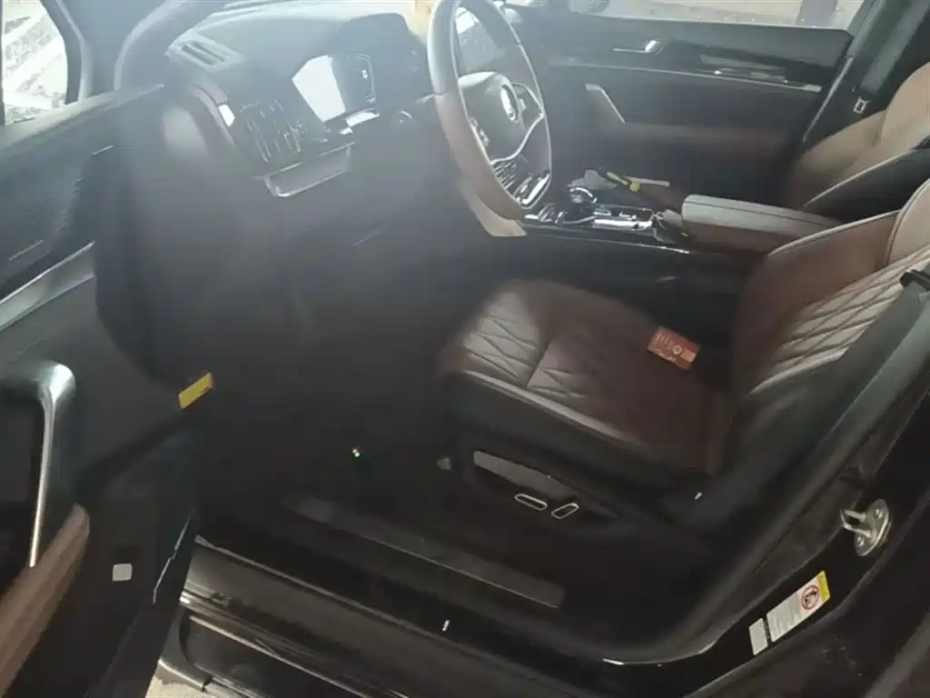 BYD Tang New Energy 2021 DM-i 112KM Premium фото 16