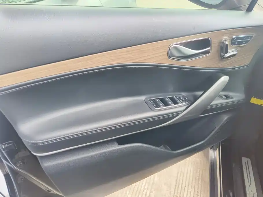 Denza X 2021 2020 Model PHEV Flagship Edition