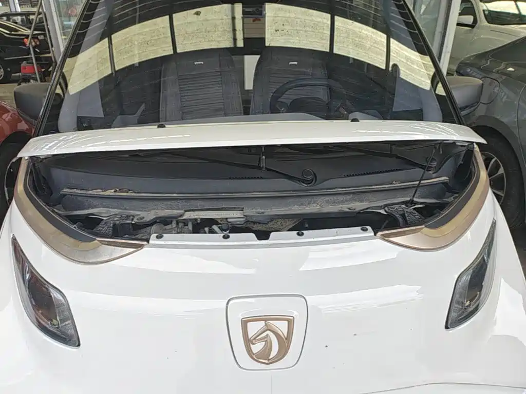 Baojun E200 2019 2019 250KM Smart Edition
