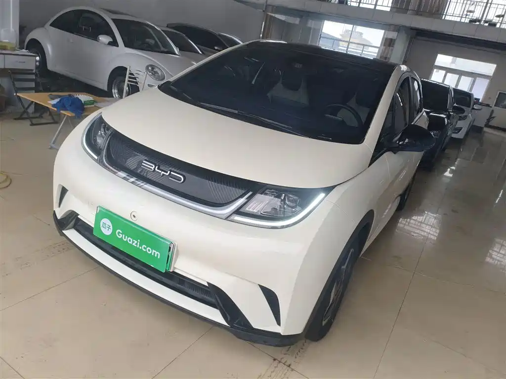 BYD Dolphin 2021 Model 405km Fashion Edition