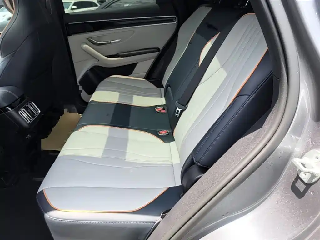 BYD Song PLUS PHEV 2021 EV Premium Model фото 13