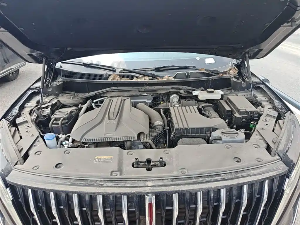 Hongqi HS7 PHEV 2024 2.0T PHEV AWD Qichang Edition 7-seater фото 20