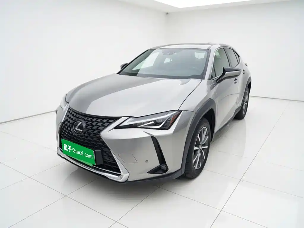 Lexus UX Electric 2021 2020 300e Pure Yue Edition