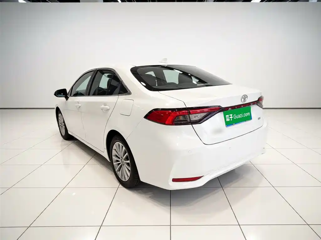 TOYOTA ASIAN LION