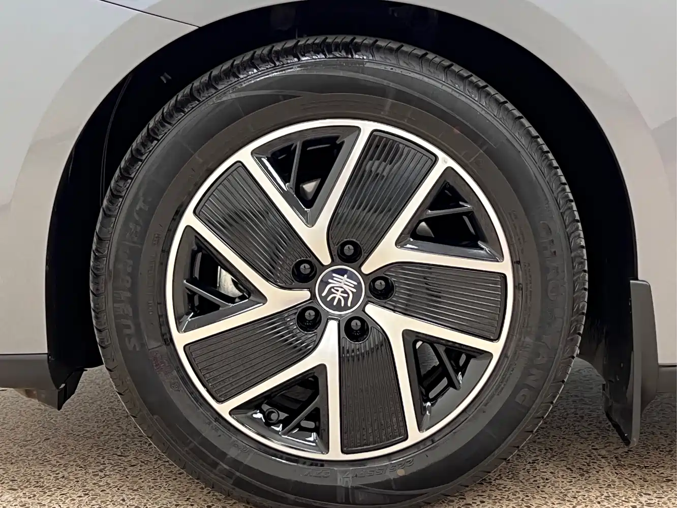BYD Qin L 2024 DM-i 80KM Superior фото 9