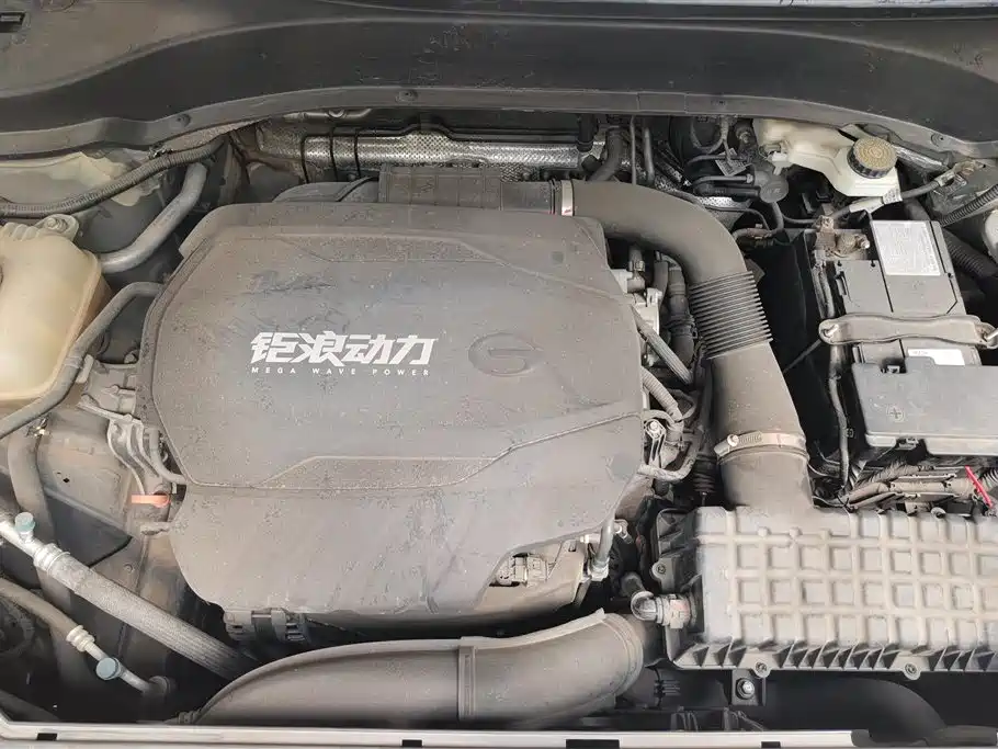 GAC Trumpchi Trumpchi GS8 2022 Pilot Series 2.0TGDI 4WD Luxury Smart Connect Edition (7-Seater) фото 10