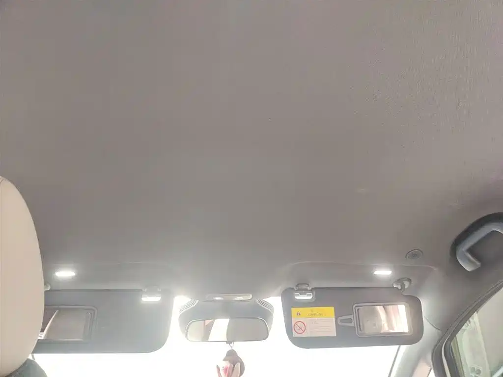 BYD Dolphin 2025 Smart Drive Edition 420km Freedom Version фото 18