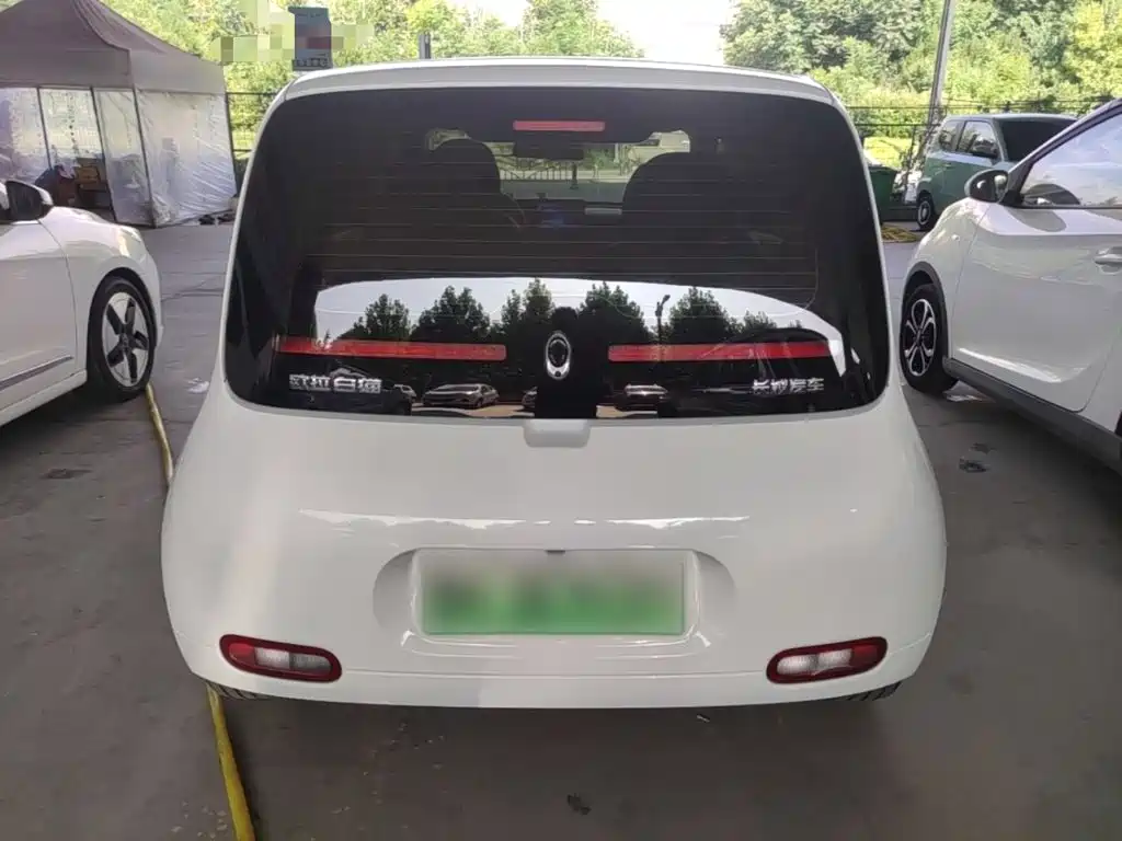 Ora White Cat 2020 2020 360km Standard Model