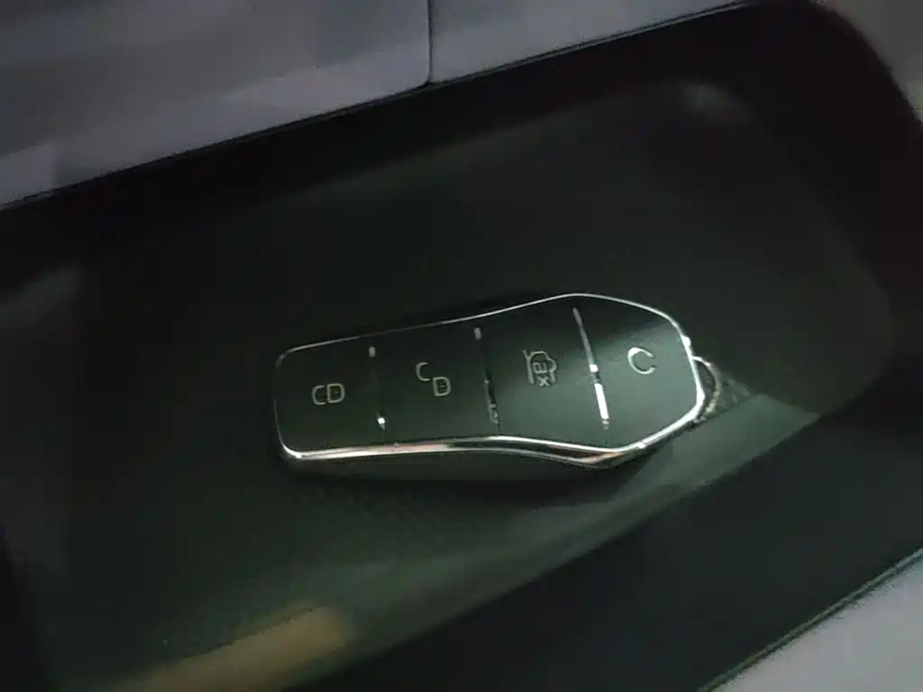 BYD Dolphin 2021 401km Knight Edition фото 9