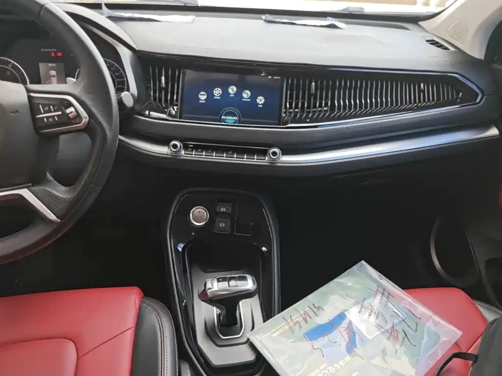 صورة 13 - Haval H2s
