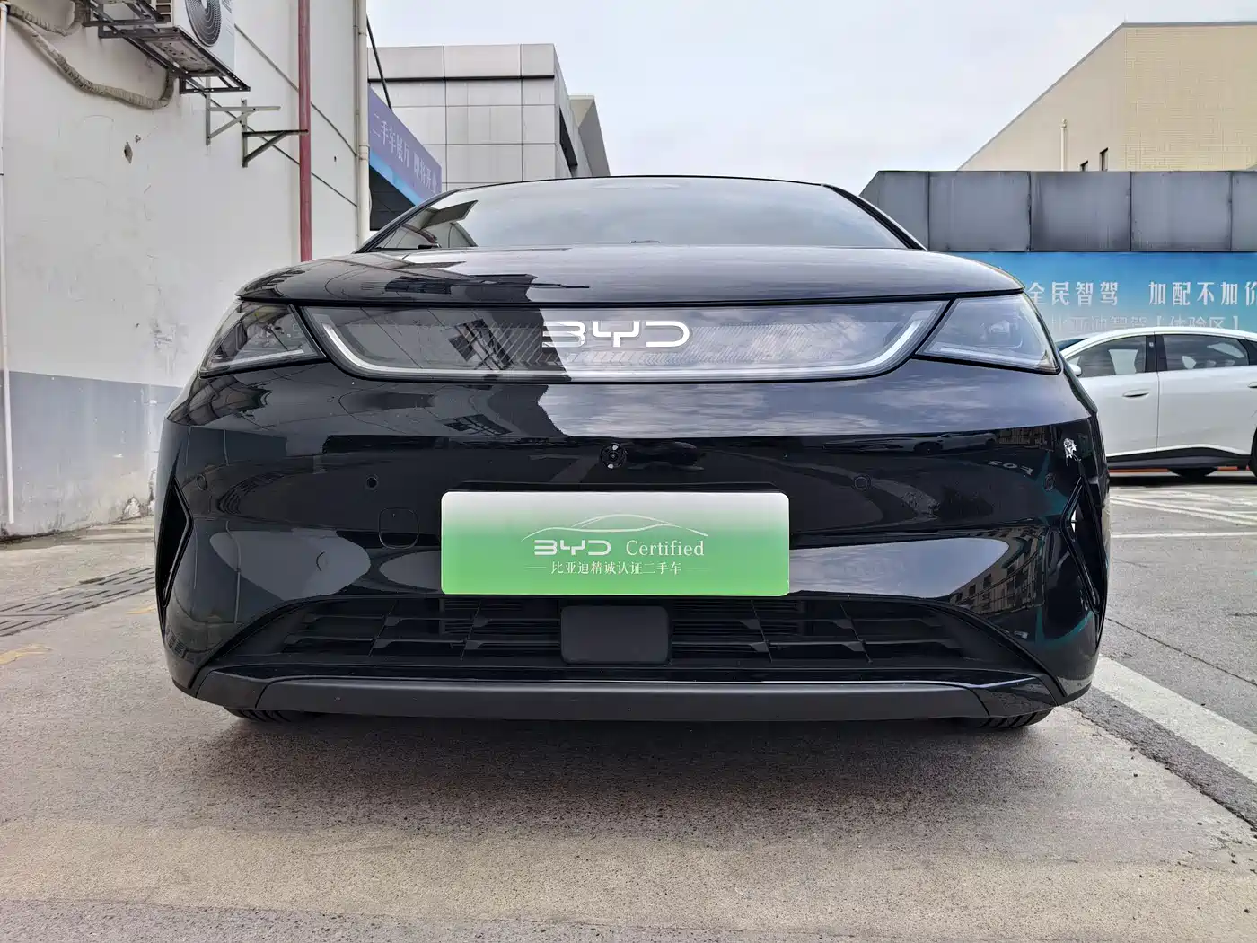 BYD Dolphin 2025 Smart Drive Edition 410km Fashion Version фото 2