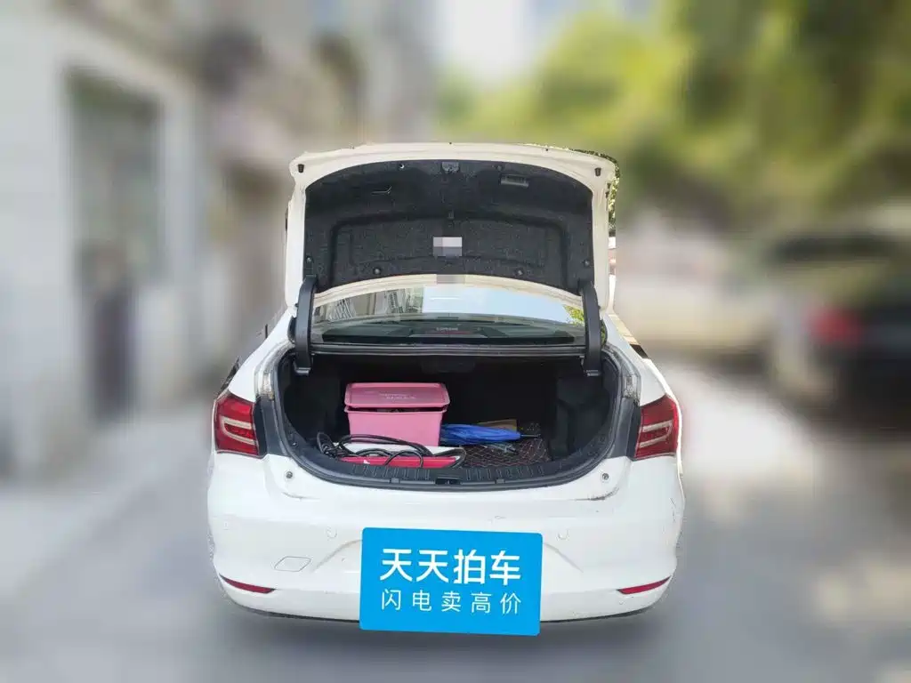 BYD Qin New Energy 2018 2017 1.5T Premium Model