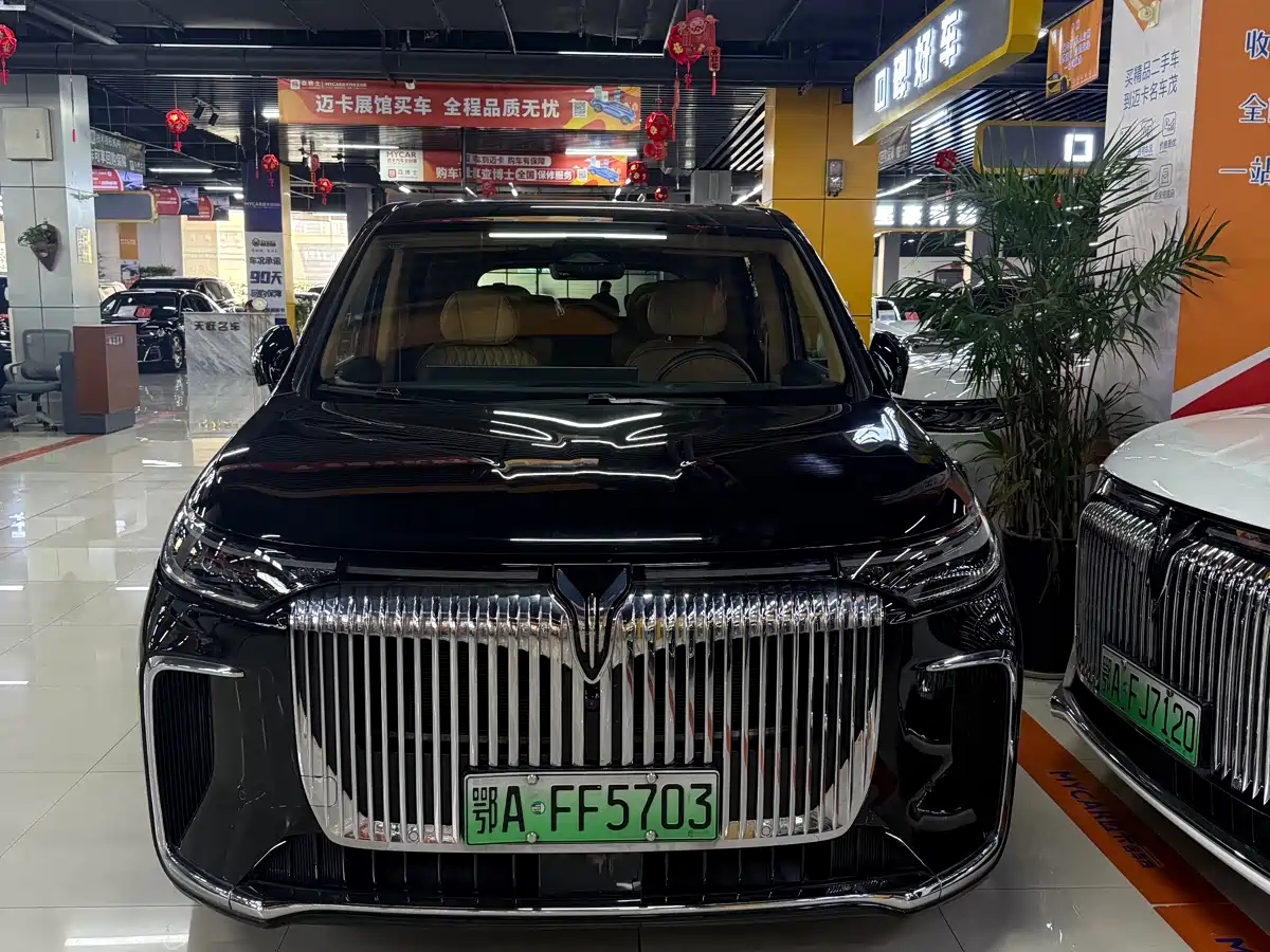 Voyah Auto Voyah Dreamer 2025 PHEV AWD Flagship Kunpeng Edition фото 2