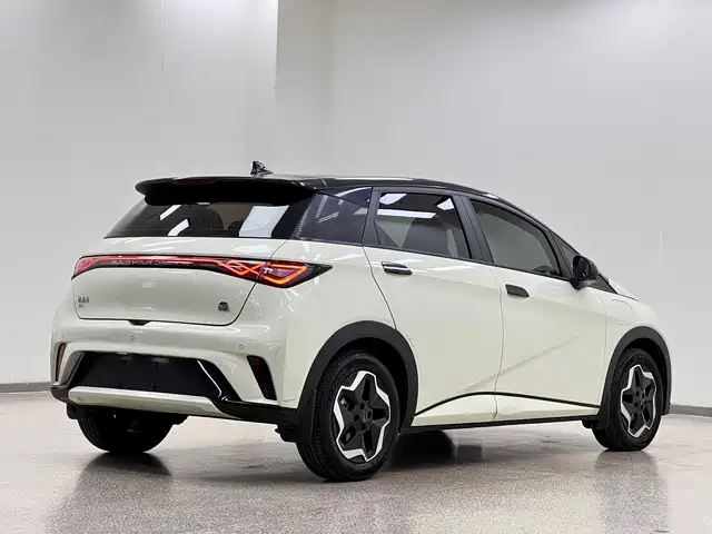 BYD Dolphin 2021 Model 405km Fashion Edition — фото 5