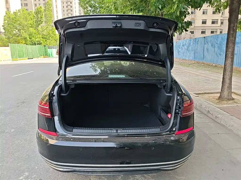 Volkswagen Passat 2023 330TSI Luxury Edition фото 19
