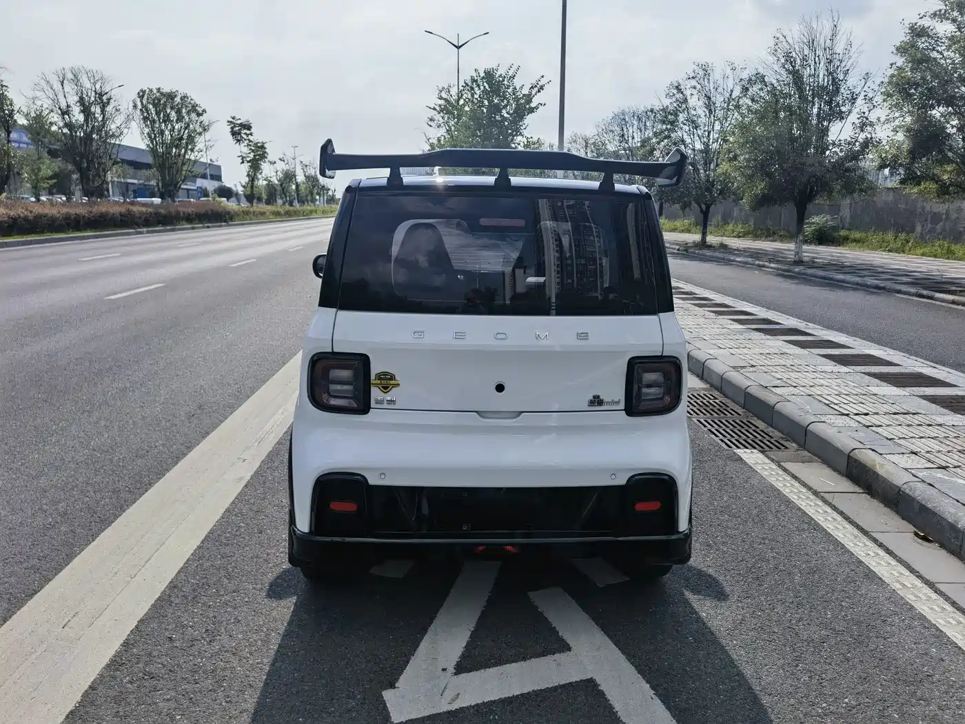 Geely Galaxy Panda 2025 2025 Model Year 210km Panda Kart