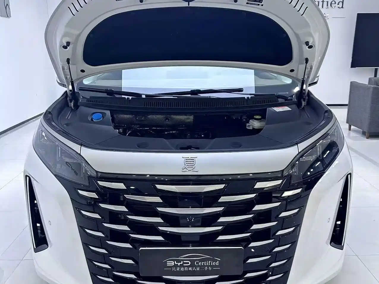 BYD Xia 2025 2025 DM-i 1.5T 180km Surpass Edition