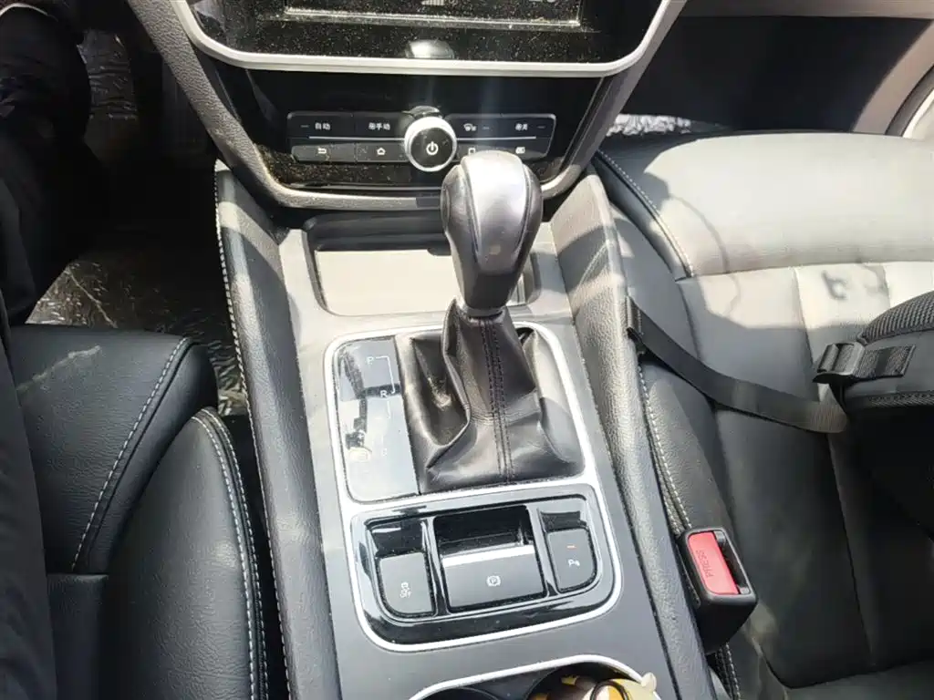 BYD Song MAX 2017 1.5T Auto Smart Connect Premium 7-seater фото 14