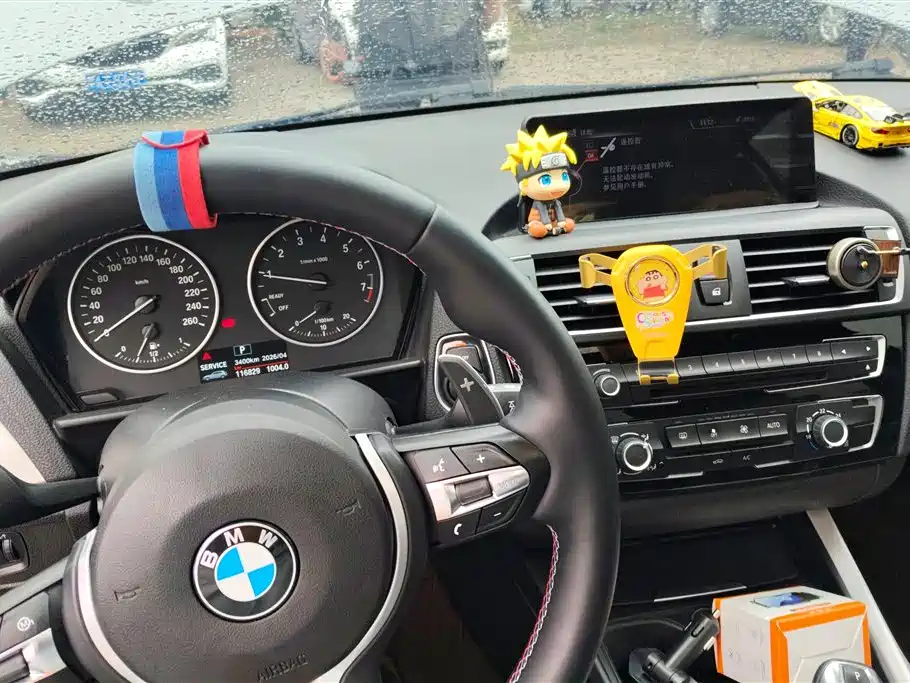 BMW 1 Series (Import) 2016 118i Leading фото 12