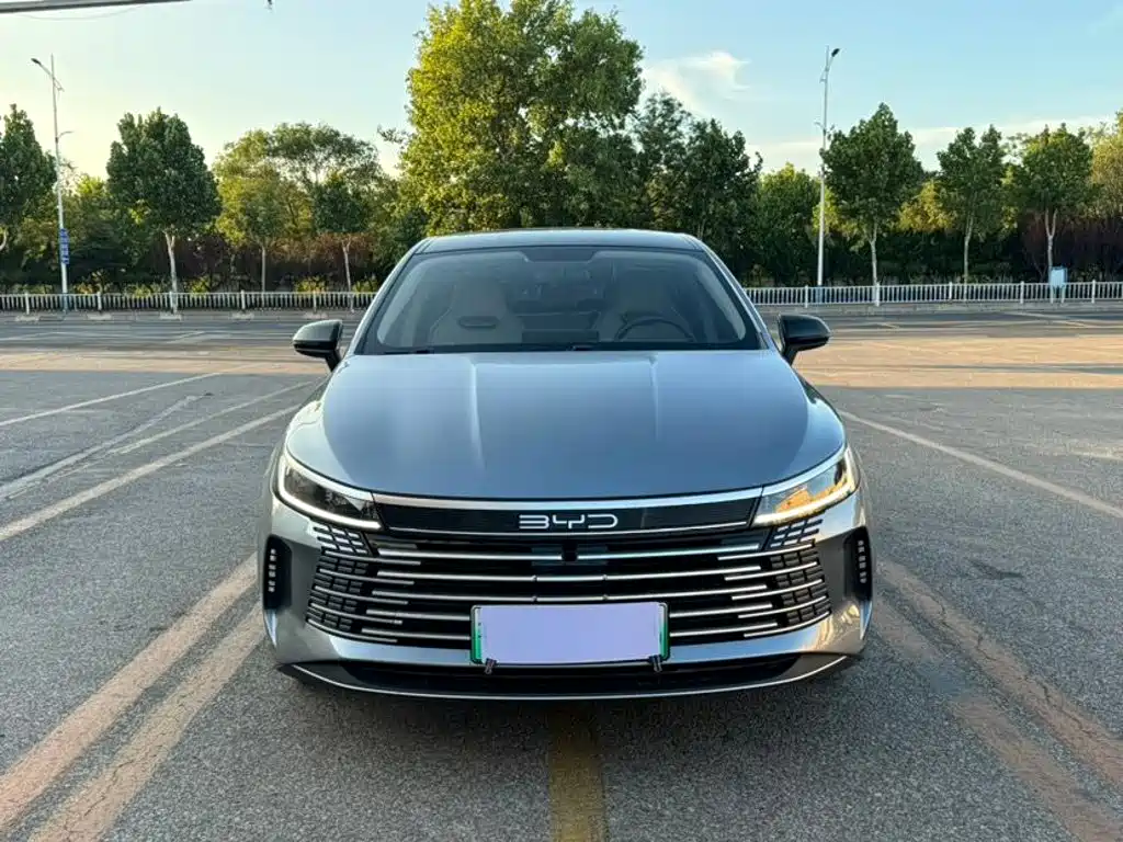 Фото 1 - BYD Destroyer 05