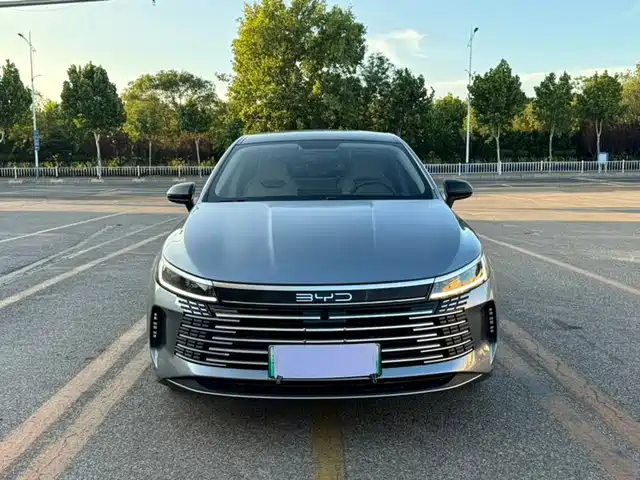 BYD Destroyer 05 2024