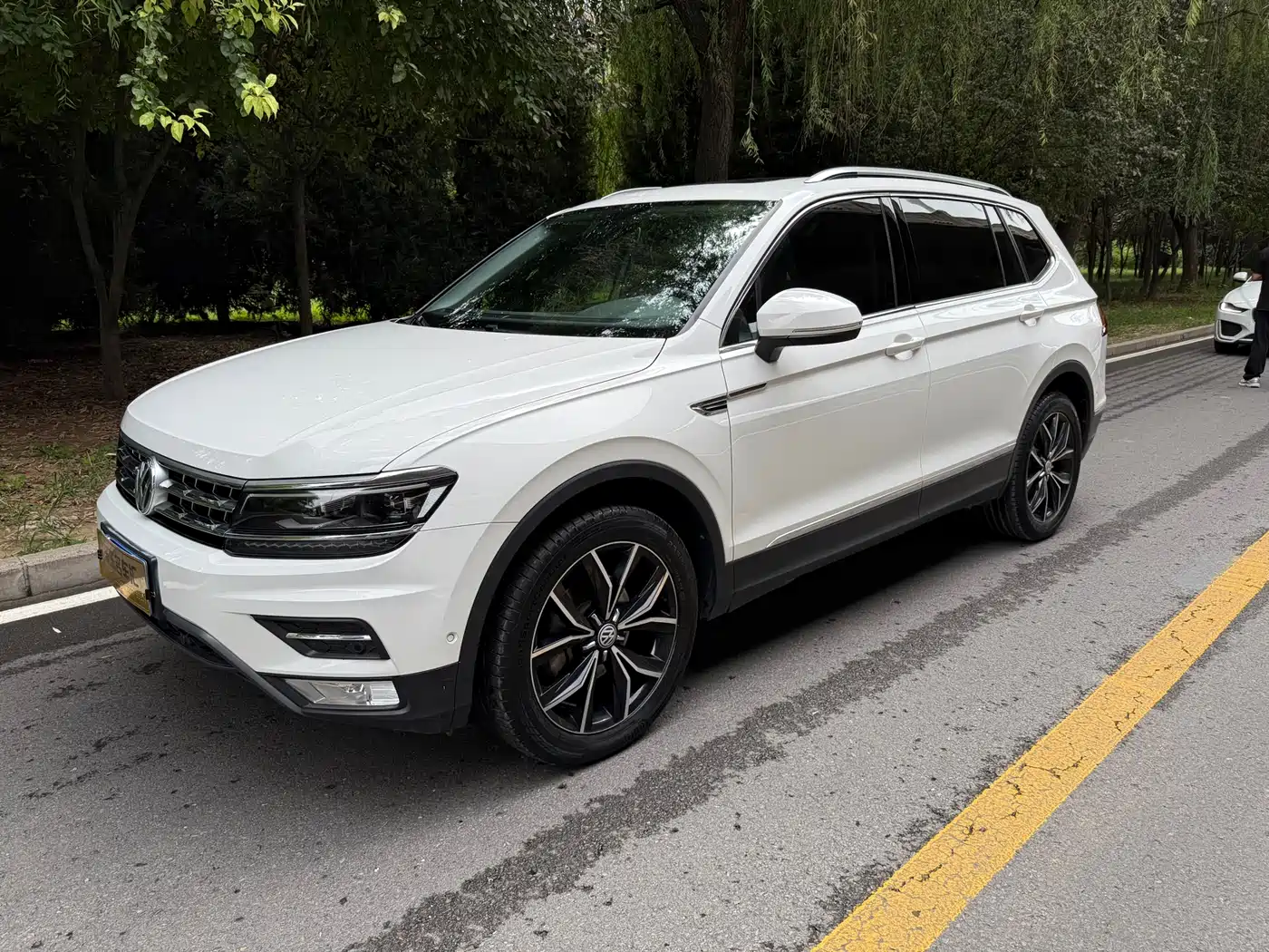 Volkswagen Tiguan L 2019 330TSI Auto 2WD Smart Luxury Edition China V