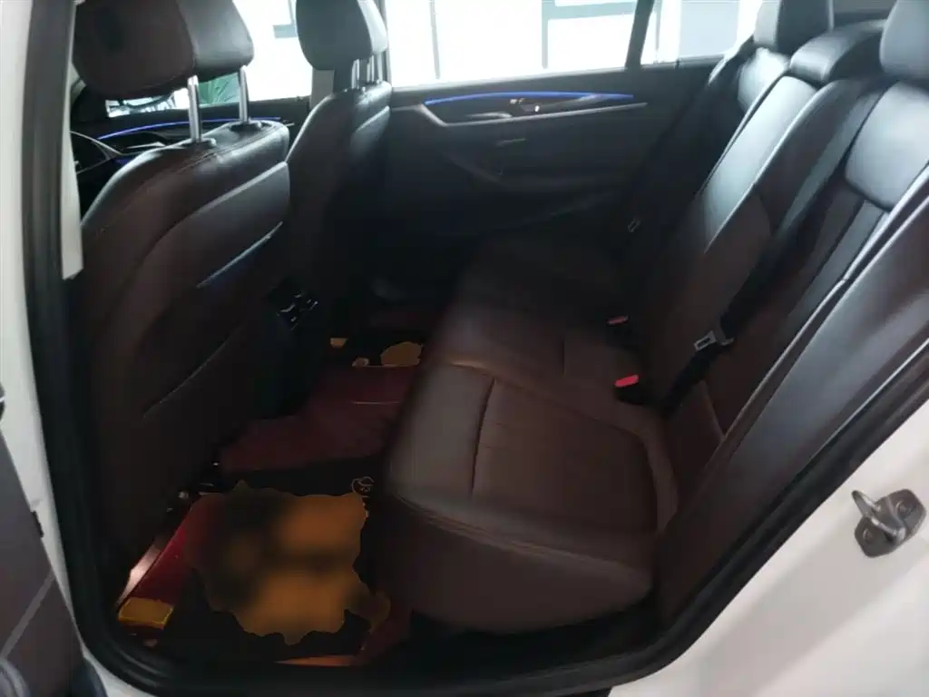 BMW 5 Series 2020 525Li Luxury Package фото 17