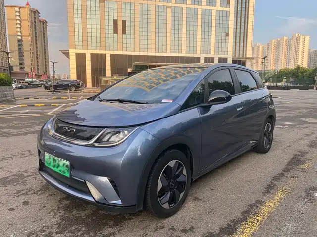 BYD Dolphin 2024